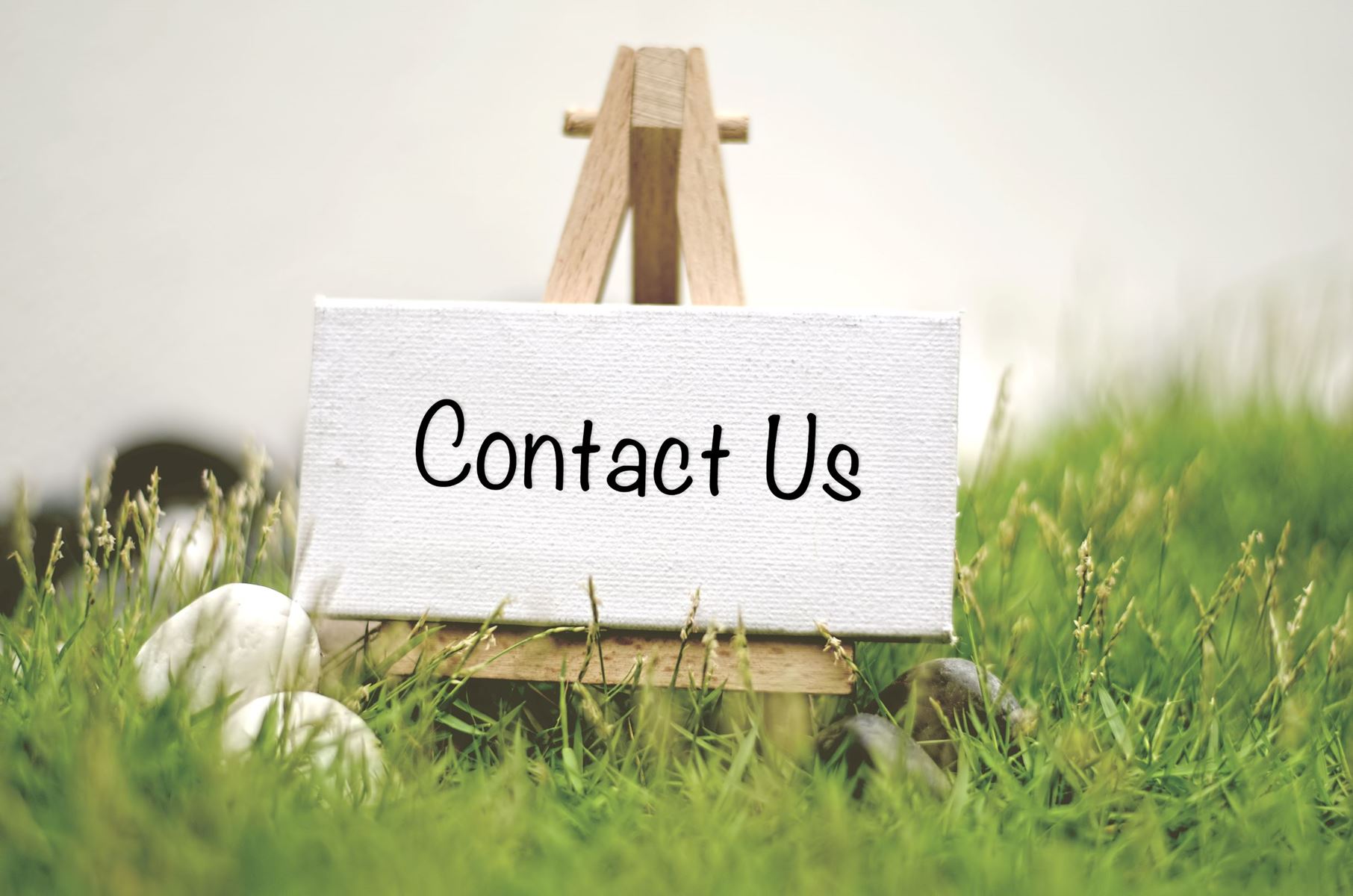 Contact us sign sitting on an easel in green grass