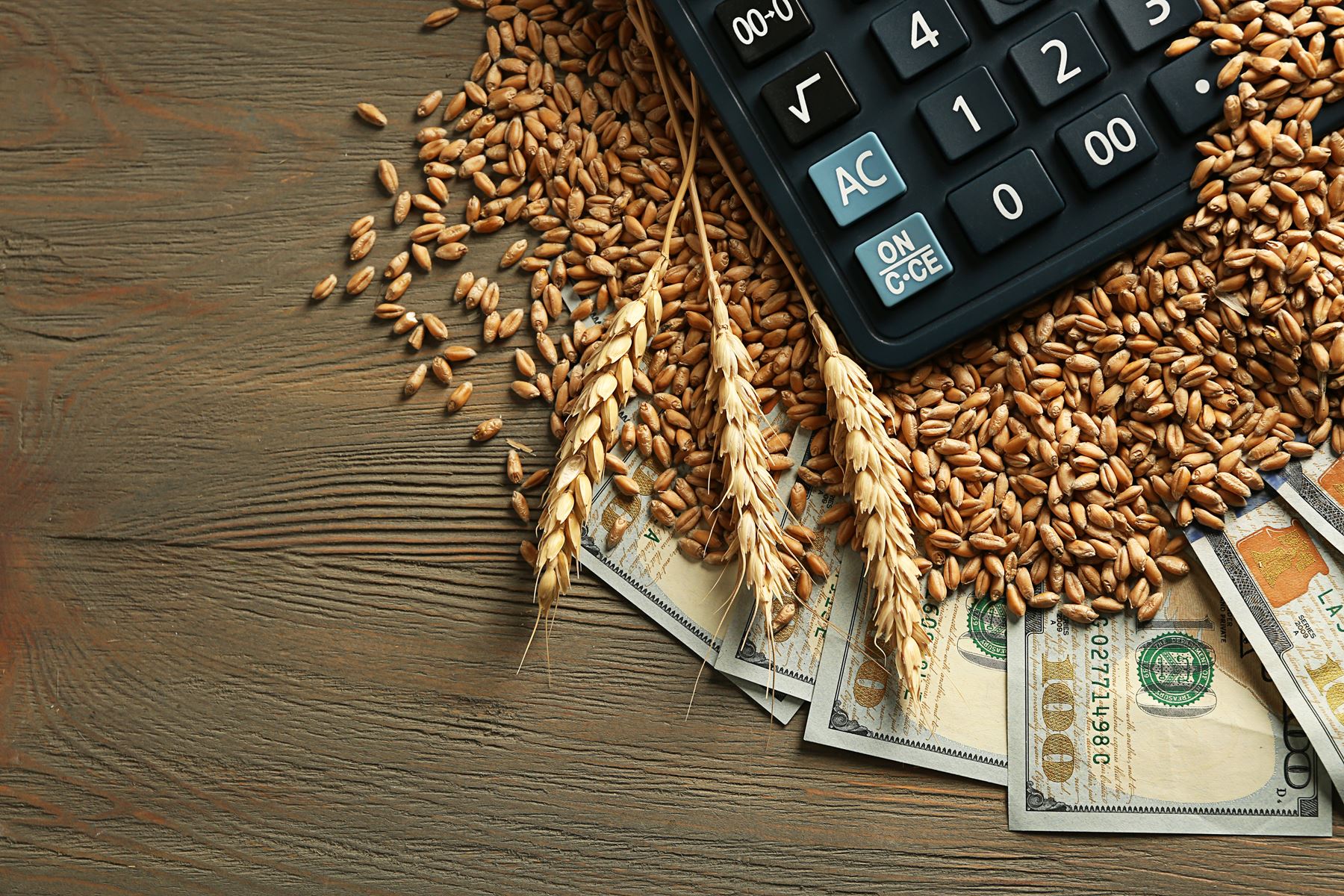 Calculator on top of wheat kernels and 100 dollar bills